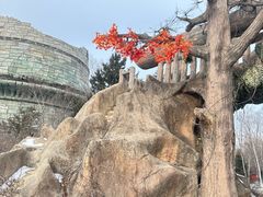 -长影世纪城