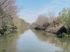 -溱湖国家湿地公园