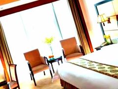 -维也纳国际酒店(深圳新洲店)