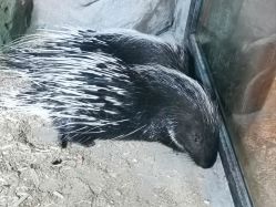 -酷嗒动物文化乐园(cutezoo西溪乐天城店)