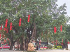 -荔湾湖公园