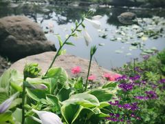 -北京雁栖湖国际会展中心