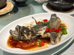 -春满园·早茶·粤菜·宴会(前海店)
