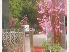 -盛世牡丹苑生态文化旅游区
