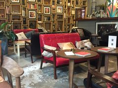 -咖法森林·咖啡  酒吧(天河店)