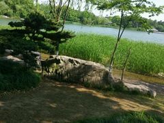 -金鸡湖桃花岛