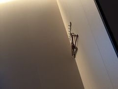 -康逸居·始于2002(海安店)