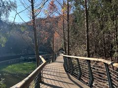 -白水寺森林公园