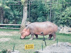 -上海野生动物园