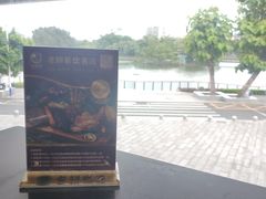 -OLD TREE老树咖啡·西餐厅(台山人工湖店)