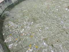 -碧水湾温泉