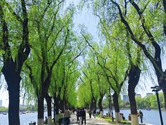 -北陵公园