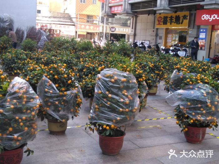 珠江夜游省总码头图片