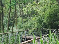 -西湖风景区-江洋畈生态公园