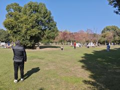 -艾溪湖湿地公园
