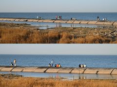 -东疆建设开发纪念公园