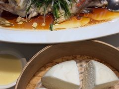 -院里寻菜·精致庭院菜(观沙岭店)