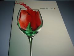 -新加坡航空公司(ION)