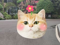 景点-重庆园博园
