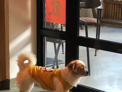 -微饮cafe