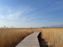 -野鸭湖国家湿地公园