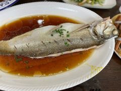 清蒸白水鱼-蟹宝酒楼•农家菜(古城北路店)