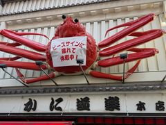 -蟹道乐(道顿堀本店)