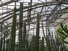 -南山植物园
