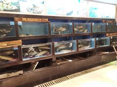 水产区-御信客家王(洛溪店)