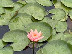 -白鹭湾湿地公园