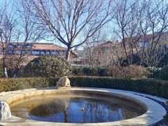 -大连金石滩绿发温泉假日酒店