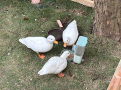 -HERRE·FARM 赫尔露营农场·团建聚会包场