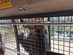 -深圳野生动物园