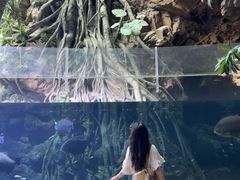 -南昌融创海世界