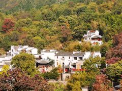 -塔川景区