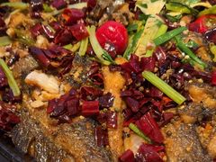 -老板恋上鱼(恒隆广场店)