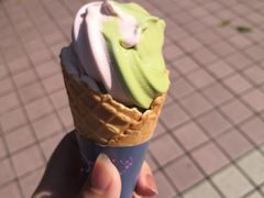 -西南政法大学-学生1食堂
