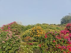 -东莞植物园