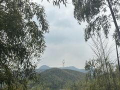 -莫干山风景区