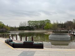 -大望京公园
