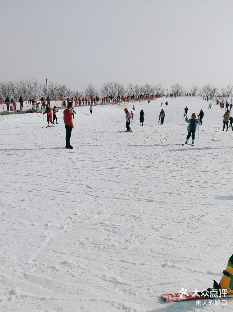 乌鲁木齐植物园滑雪图片