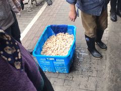 -谢记素红大肠店(新民路店)