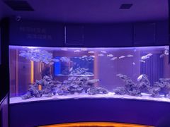 -上和臻品中国菜(花园街店)