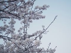 -上海辰山植物园