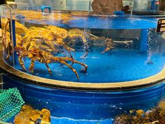 -上和臻品中国菜(花园街店)