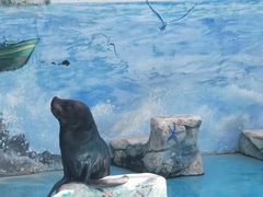 -上海野生动物园