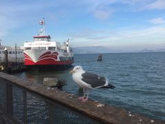 -阿尔卡特拉斯岛