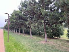 -汉长安城未央宫国家考古遗址公园