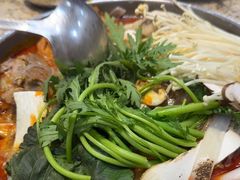 -真利味·脊骨火锅·正宗韩国料理(韩乐坊店)