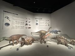 -自贡恐龙博物馆